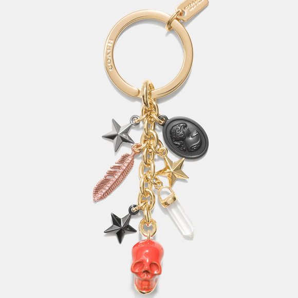 Coach Skull Cameo Feather Crystal Stars Key Ring Key Chain KeyFob Bag Charm NEW - Picture 1 of 5